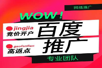百度推广托管策略：成功企业的广告投放经验
