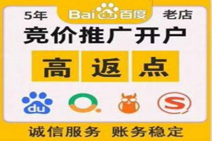 竞价托管服务中的挑战与机遇